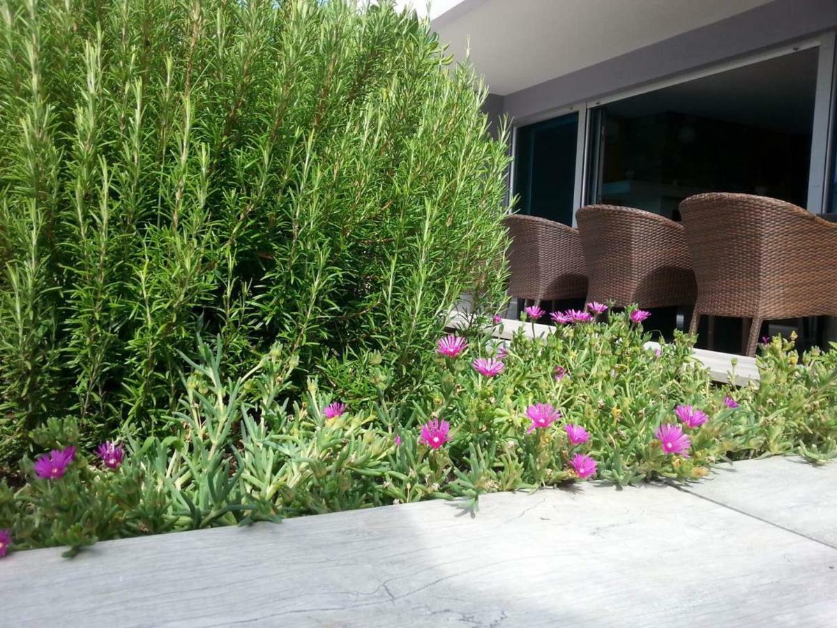 Apartment Nella كوسترينا المظهر الخارجي الصورة
